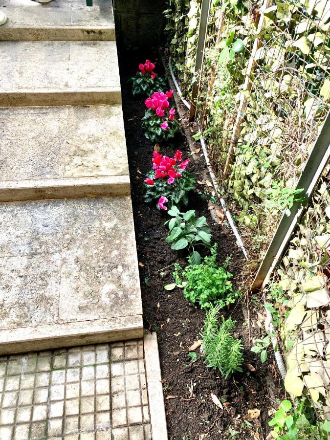 רומא Vatican Garden Home מראה חיצוני תמונה